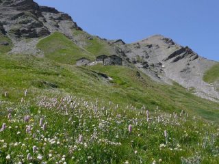 La Grange Sablus toccata in discesa