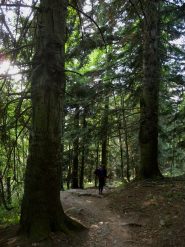 dopo 16 ore filate..fra gli abeti secolari