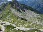 in discesa verso il colle della Mologna