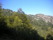 il monte rosso dall'alpeggio a 1500