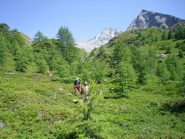 in discesa sul sentiero n. 9 ....