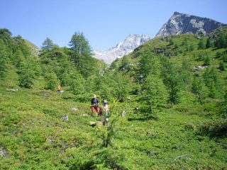 in discesa sul sentiero n. 9 ....