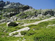 l'ambiente in alto