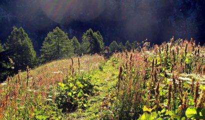 In salita oltre l'Alpenzù