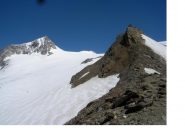 Si vede latraccia alla vetta sul Mullwitzkees..