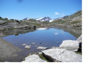 Spettacoli della natura...