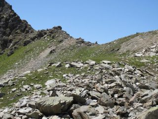 Ometto del colle, in primo piano il dosso erboso