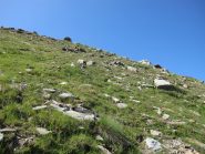 Il ripido pendio erboso per portarsi sul bordo della conca detritica