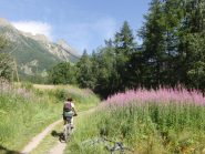 Salendo da S.Chevalier