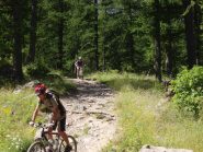 Scendendo dal Lac de la Douche