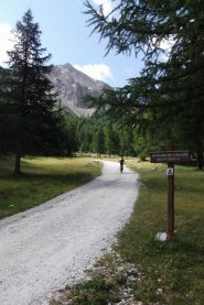 Plan du Vallon metà salita esatta