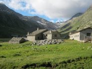 Alpeggio di Bardoney