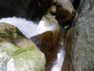 la stettoia