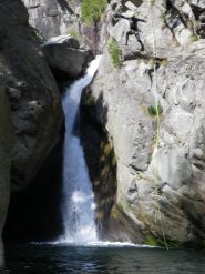 Tuffo di Ugo il volume sta diminuendo