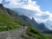 Quasi al Rif. Elsabetta