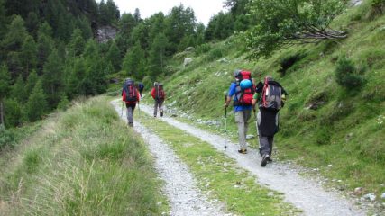 salendo nella verde Turtmanntal...02 (21-7-2012)