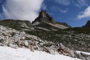 il Gran Adritto 