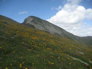 Pizzo del Forno fotografato dai fianchi del Pizzo di Bronzo