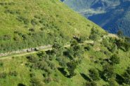 Discesa nella stupenda Valle d'Albano