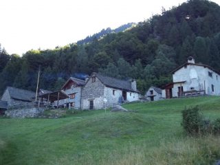Alpe Bee quota 1297