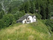 Alpe Colla