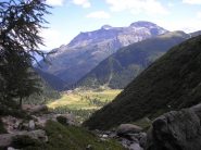 cistella e corno cistella