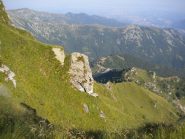 giu in basso il Salvin