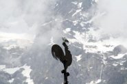 Uccellino delle Jorasse