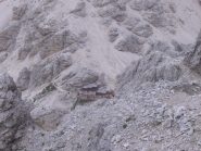 Rif.Passo Principe m.2600