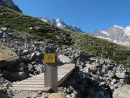 Ponte di legno sul torrente Money