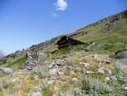 alpe plane