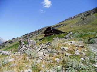 alpe plane
