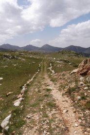 alla fine il tempo ha tenuto bene!