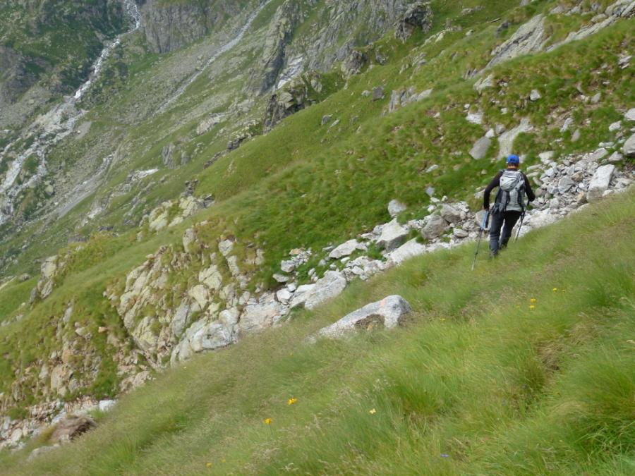 in discesa sul ripido