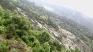 zona delle placche
