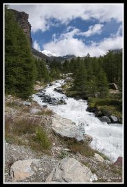 Torrente