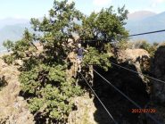 il piccolo ponte tibetano (proprio piccolo...)