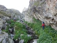 Poche tracce nella gola a fianco della cascata