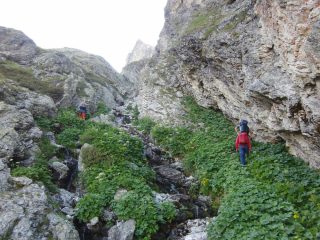 Poche tracce nella gola a fianco della cascata