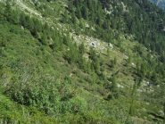 Alpe Corte Superiore visto dal traverso sopra le cascate