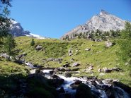 alpe Nomenon