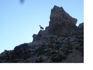 Il guardiano della ferrata...