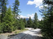 salendo panorama sul fraiteve