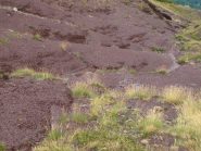 Alla Colla Rossa, colori e forme