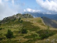 Il gregge e il pastore