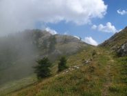 Colori e trasparenze lungo il sentiero