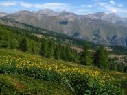 Tavolozza verso le Liguri