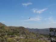 Aquila in volo sul pianoro sommitale