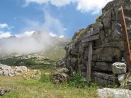 Panorami
