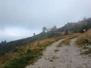 Quasi all'ex rifugio